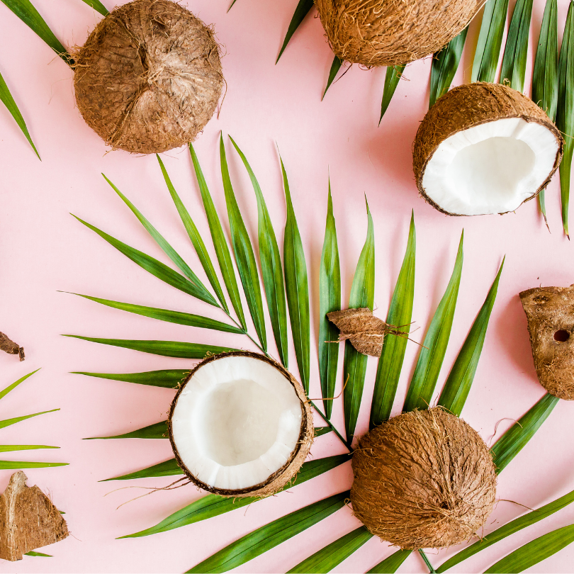 Coconut Header For the Love of Coconuts – Hail Merry Snacks