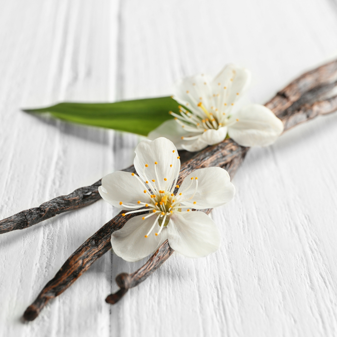 Madagascar Vanilla for reach flavor in our dairy free vegan snacks - Hail Merry 